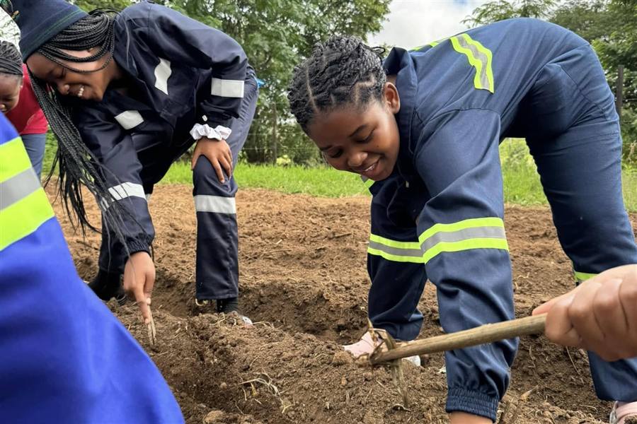 Agriculture learning activity at Firm Foundation