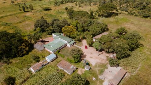 Chegutu school buildings surrounded by mature trees